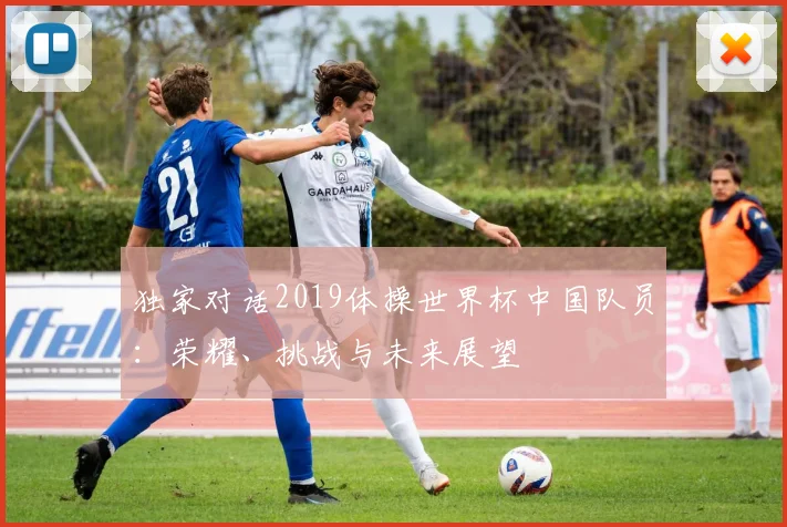独家对话2019体操世界杯中国队员：荣耀、挑战与未来展望